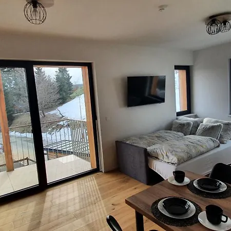 Apartment Ski&bike Sunny With Parking Janske Lazne *
